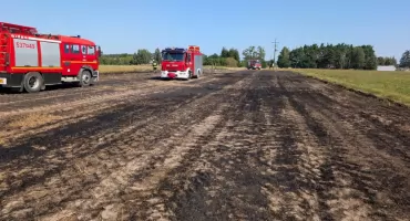 Nasielsk. Pożar rżyska w Nunie. Pomimo szybkiej interwencji strażaków płomienie zdążyły strawić 0,5 ha powierzchni