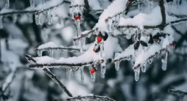 Przed nami pochmurny i mroźny weekend z przelotnymi opadami śniegu w niedzielę. Termometry wskażą od -3°C do -8°C w ciągu dnia