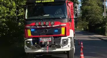 Leoncin. W Michałowie drzewo przewróciło się na drogę i przystanek autobusowy. Interweniowali strażacy ochotnicy