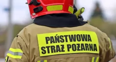 Czosnów. W Sadach strażacy przez blisko 4 godziny pomagali podnieść chorego konia