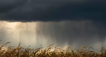Długi weekend w powiecie nowodworskim będzie pochmurny z opadami deszczu i temperaturą maksymalną do 25°C