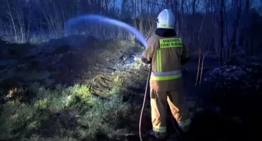 Nasielsk. Pożar trawy i zarośli przy Żwirki i Wigury. Z ogniem walczyły dwa zastępy ochotniczej straży pożarnej