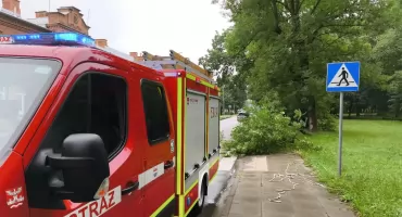 Nowy Dwór Mazowieckim. Złamany konar spadł na ulicę i chodnik przy Poniatowskiego. Interweniowali strażacy ochotnicy