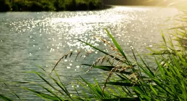 Pogoda dla powiatu nowodworskiego. Upał do 32°C, potem burze i wyraźne ochłodzenie