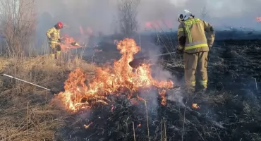 Czosnów. W Dębinie w wyniku uszkodzenia linii średniego napięcia doszło do pożaru trawy. Interweniowali strażacy ochotnicy